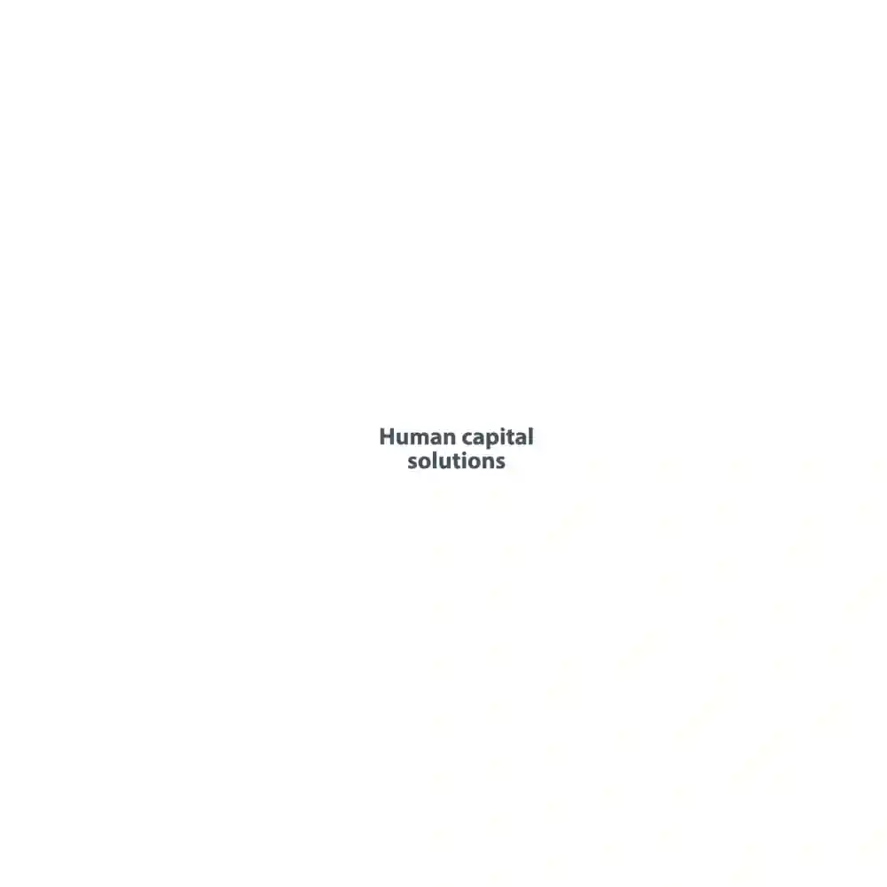 HUMAN CAPITAL WHEEL